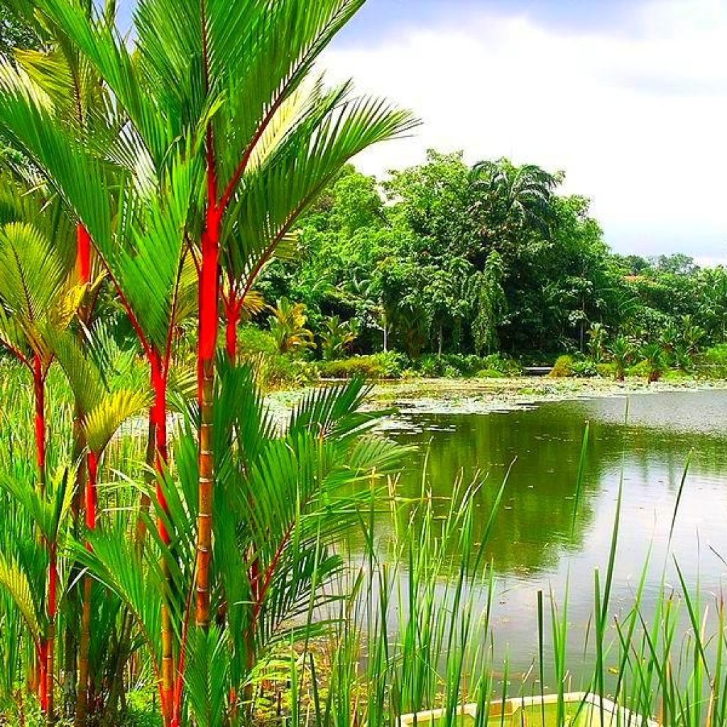 حديقة شاطئ الممزر ٤ ٥