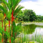 حديقة شاطئ الممزر ٤ ٥