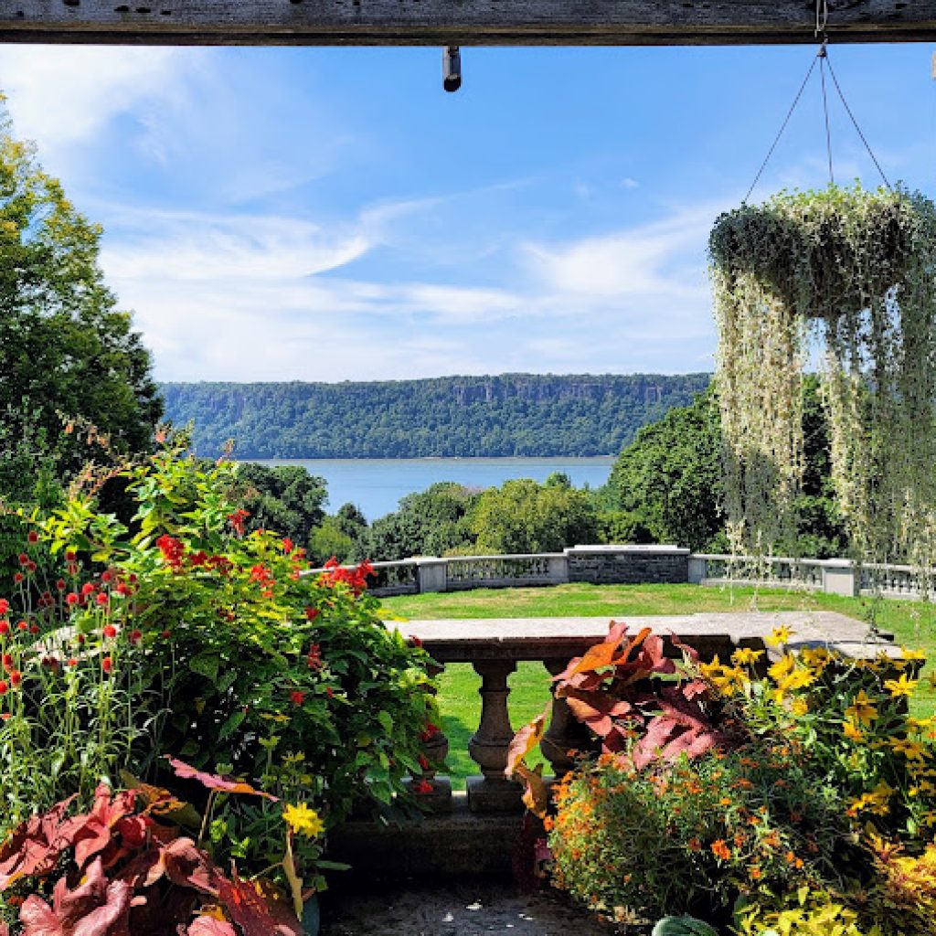 حدائق وايف هيل العامة5