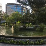 حديقة الأطفال