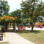 حديقة الساحل الشرقي ٨