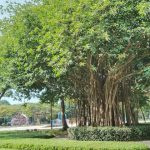 حديقة الساحل الغربي ٢