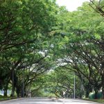 حديقة الساحل الغربي ٦