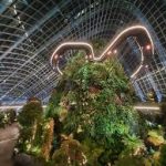 حديقة السحاب ٢