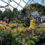 حديقة السحاب ٥