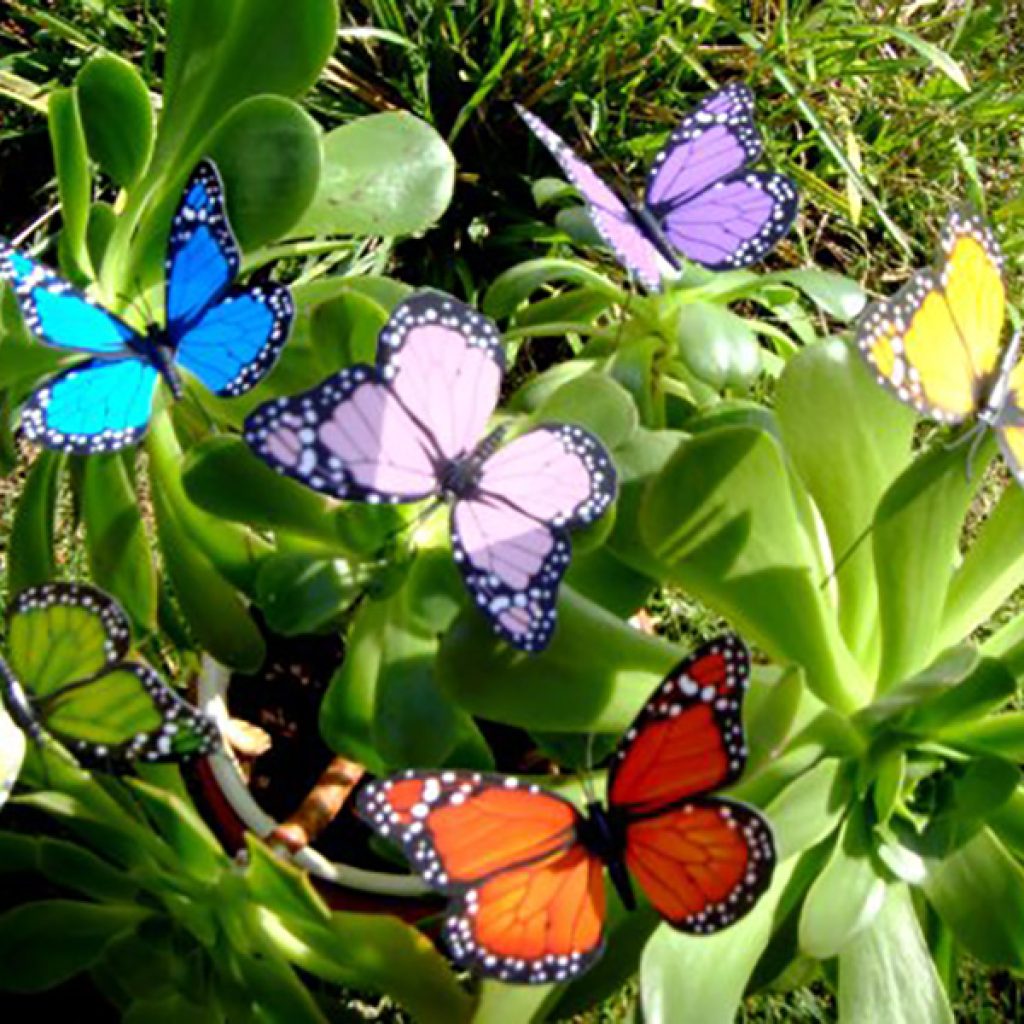 حديقة الفراشات في كوالالمبور