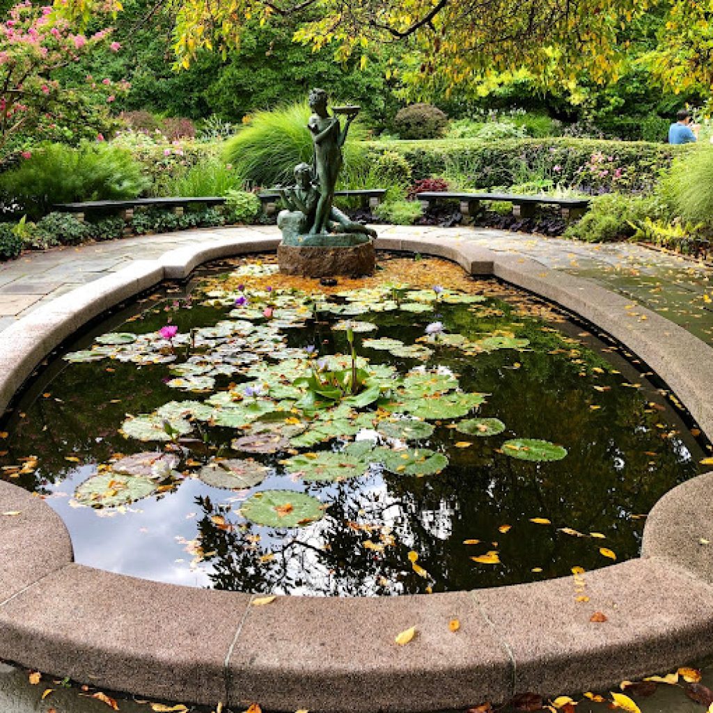 حديقة المعهد2