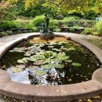 حديقة المعهد2