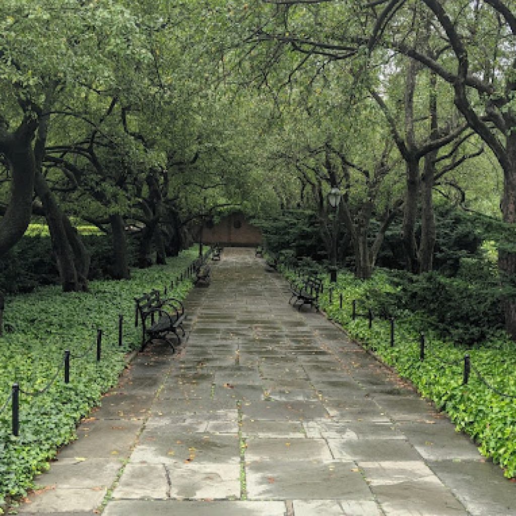 حديقة المعهد4