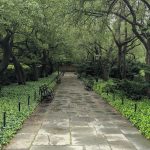 حديقة المعهد4