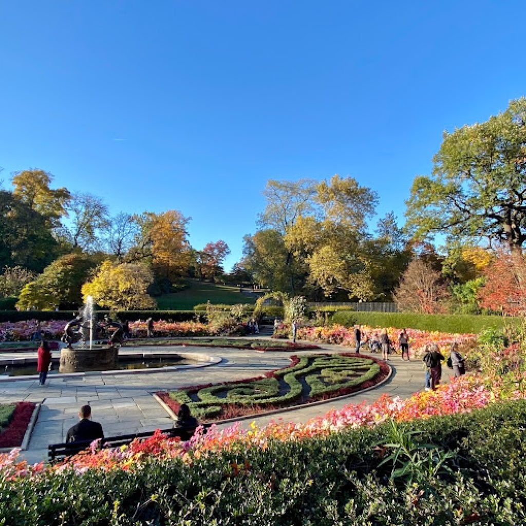 حديقة المعهد6