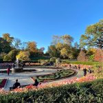 حديقة المعهد6