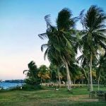 حديقة باسير ريس تاون