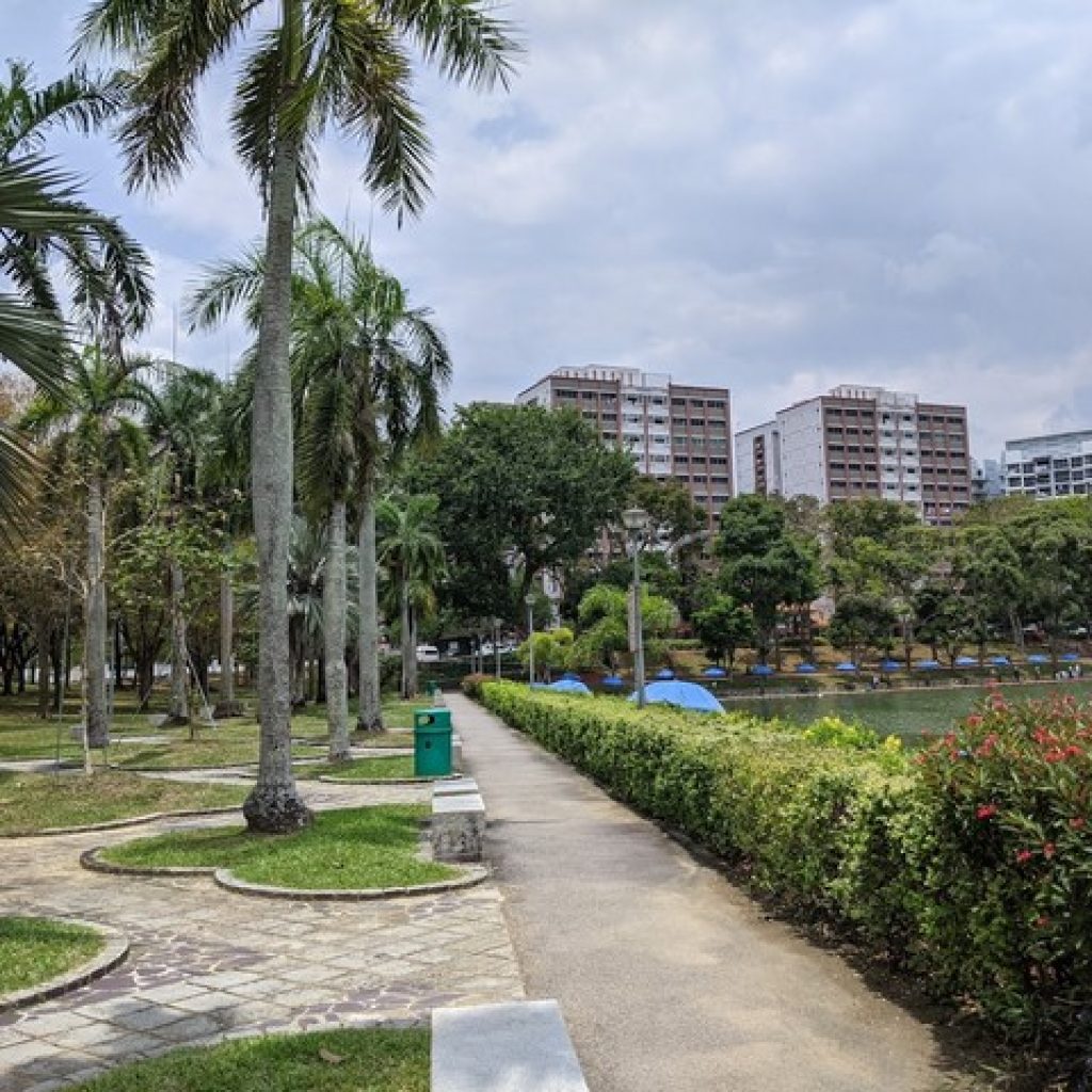 حديقة باسير ريس تاون ١