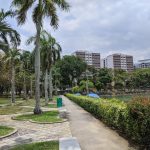 حديقة باسير ريس تاون ١