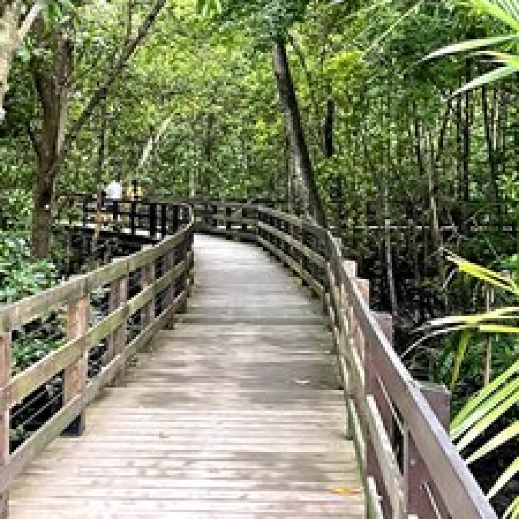 حديقة باسير ريس تاون ٣