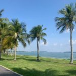 حديقة باسير ريس تاون