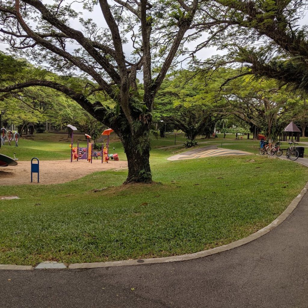 حديقة باسير ريس تاون