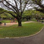 حديقة باسير ريس تاون ٤