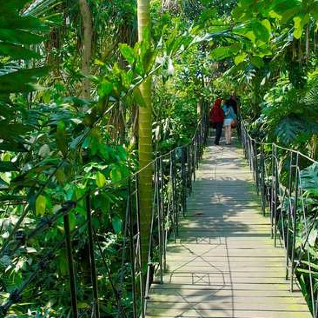 حديقة بالي للطيور (2)