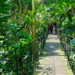 حديقة بالي للطيور (2)