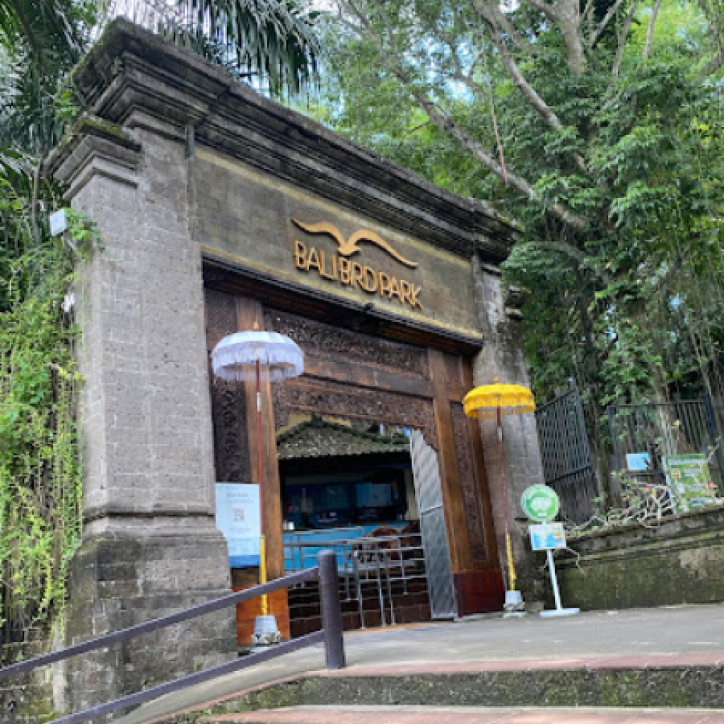 حديقة بالي للطيور (5)