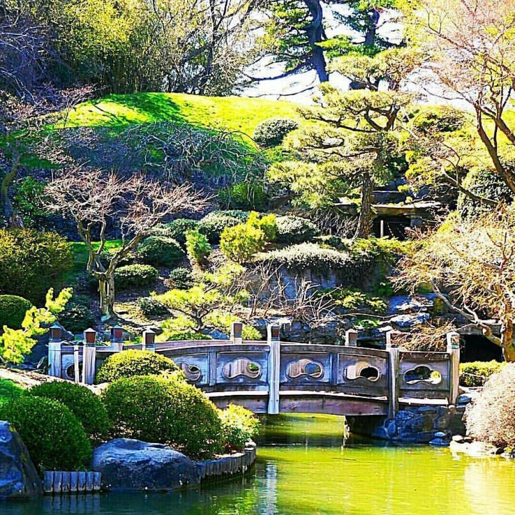 حديقة بروسبكت ١