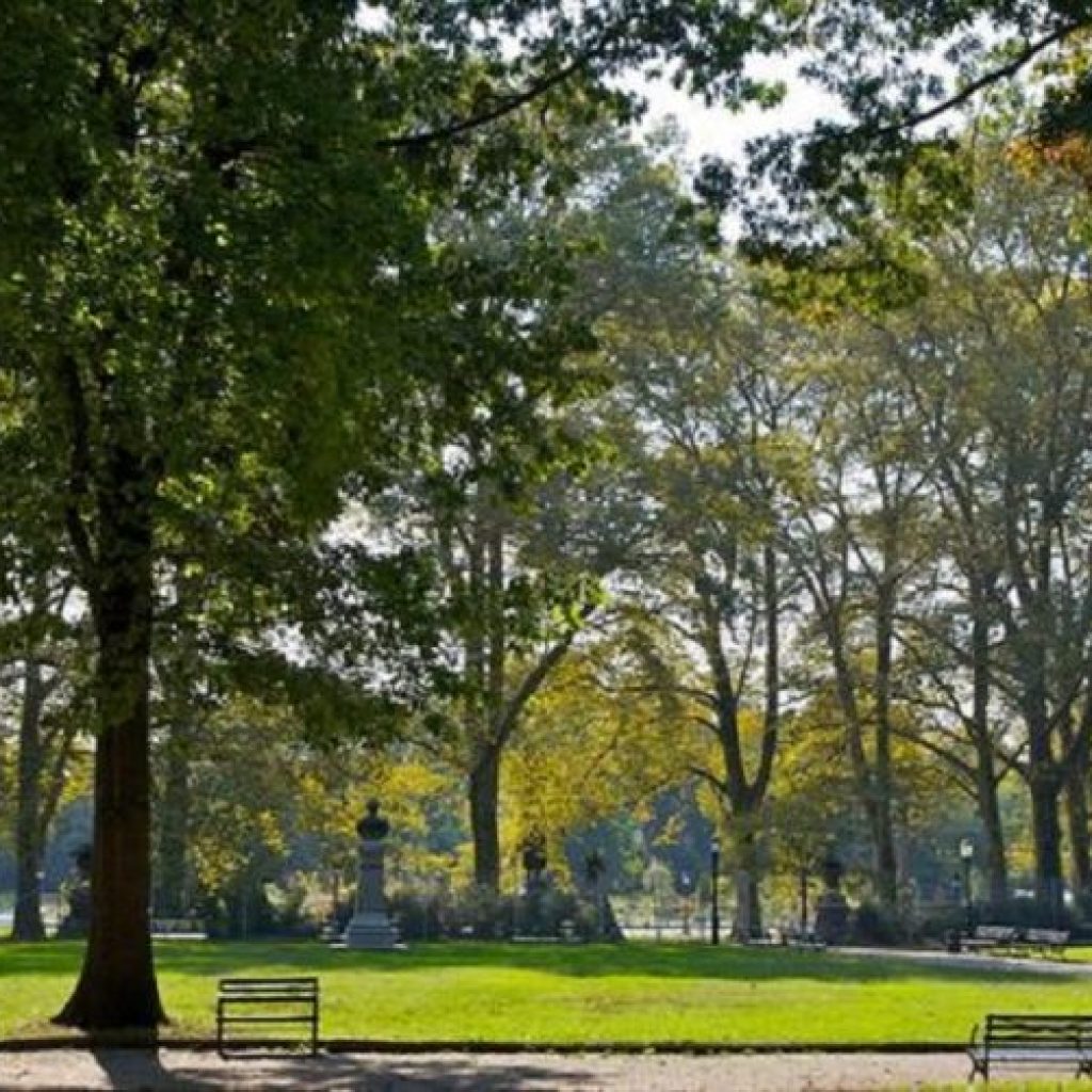 حديقة بروسبكت ٢