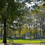 حديقة بروسبكت ٢