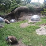 حديقة بروسبكت ٣