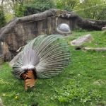 حديقة بروسبكت ٤