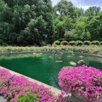 حديقة بروكلين النباتية ١