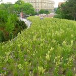 حديقة بروكلين النباتية ٢