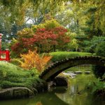 حديقة بروكلين النباتية ٥