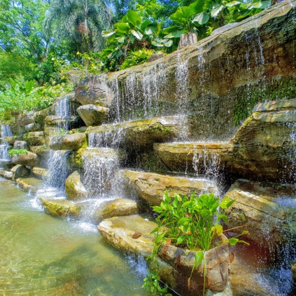 حديقة بيردانا النباتية