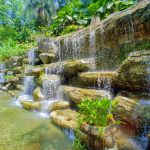 حديقة بيردانا النباتية