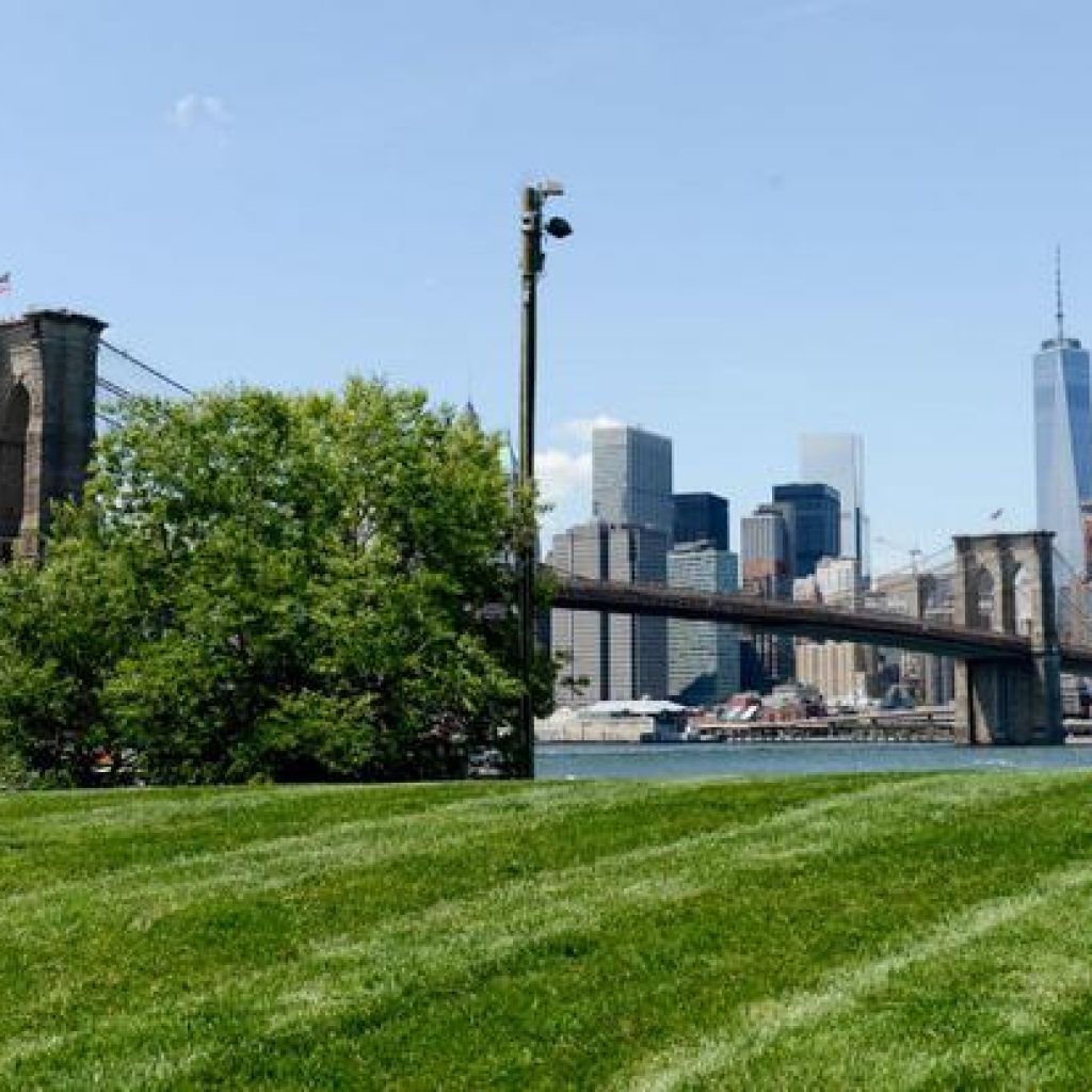 حديقة جسر بروكلين