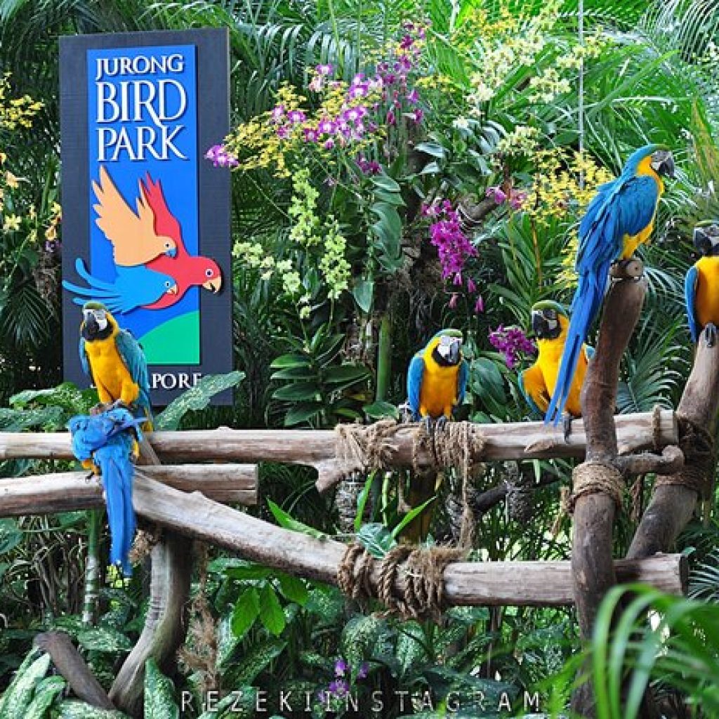 حديقة جورونج للطيور