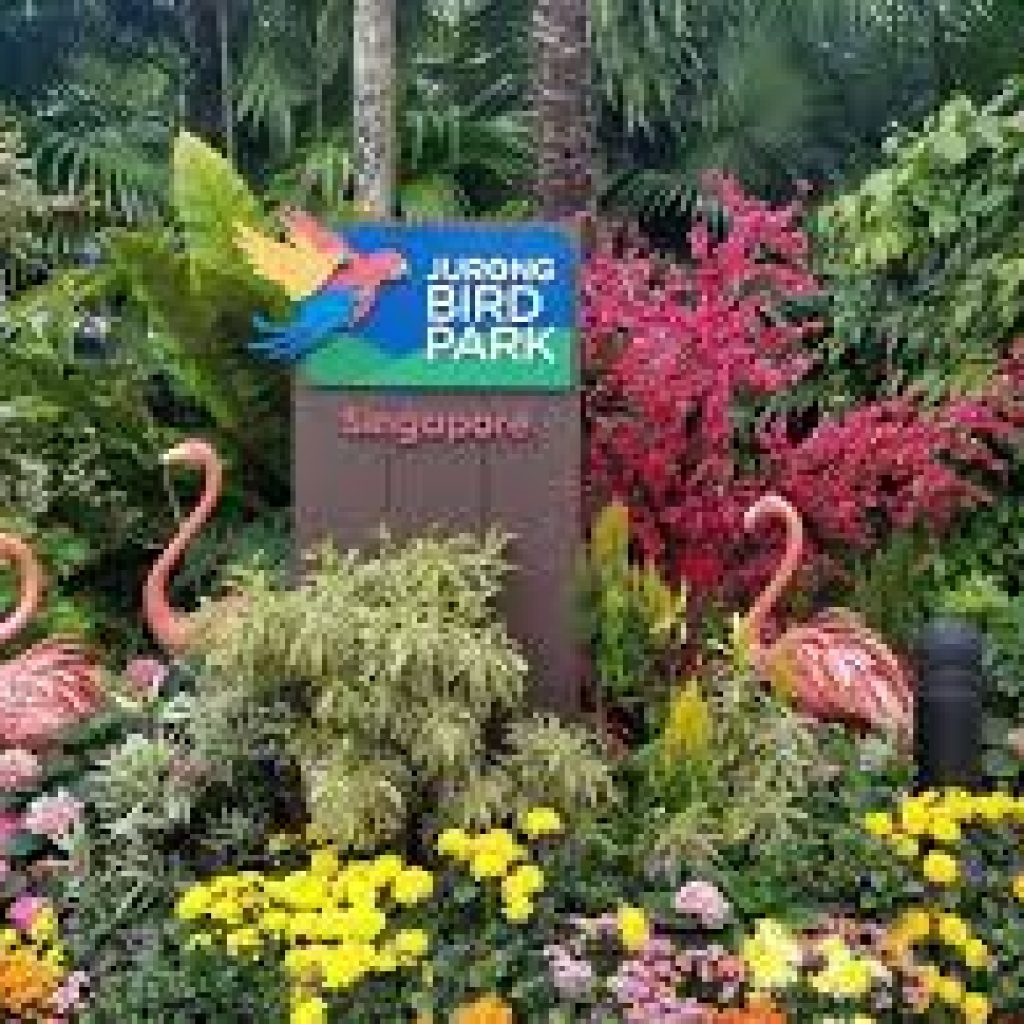 حديقة جورونج للطيور ٤