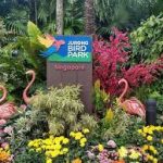 حديقة جورونج للطيور ٤