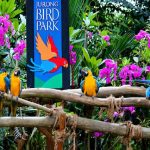 حديقة جورونج للطيور ٦