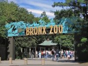 حديقة حيوان برونكس ٥