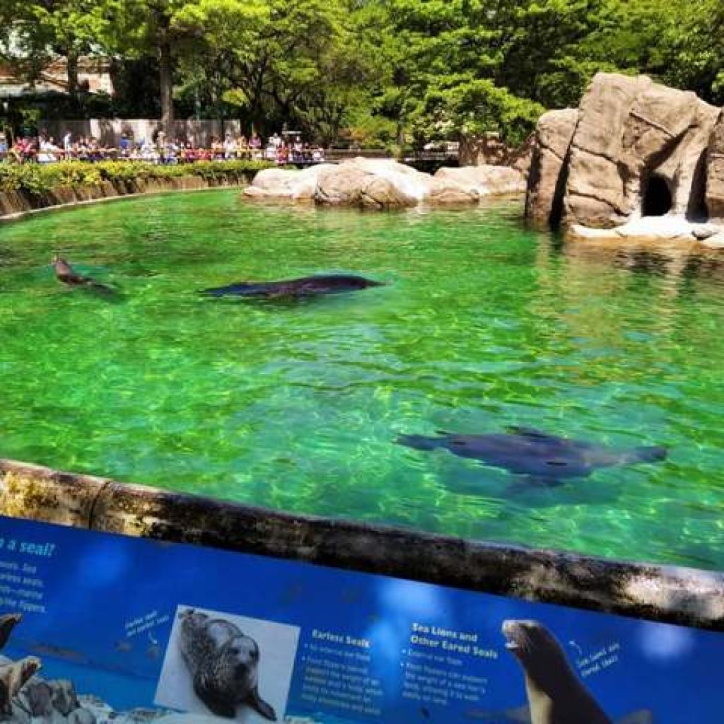 حديقة حيوان برونكس ١