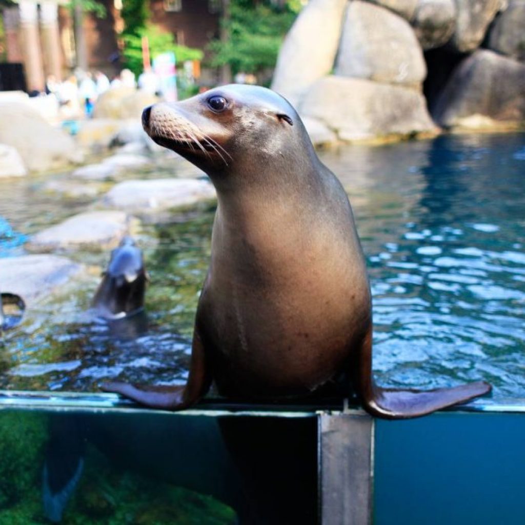 حديقة حيوان برونكس ٢