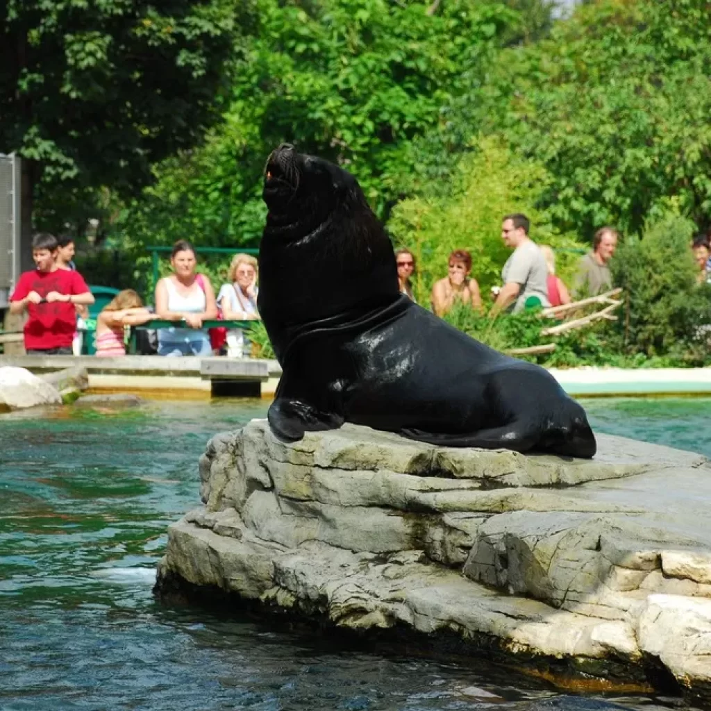 حديقة حيوان برونكس ٣