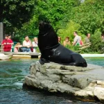 حديقة حيوان برونكس ٣