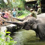 حديقة حيوان لندن