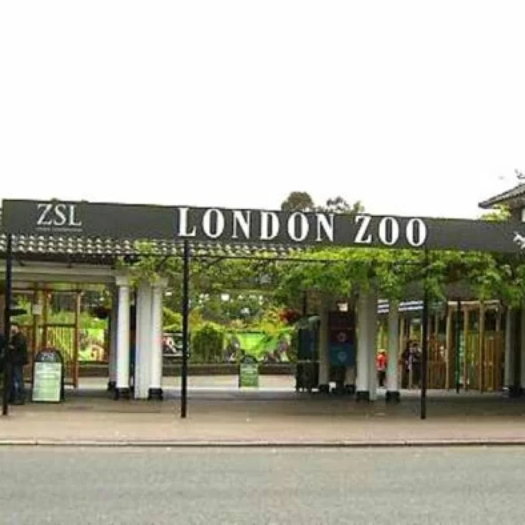 حديقة حيوان لندن2