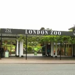 حديقة حيوان لندن2