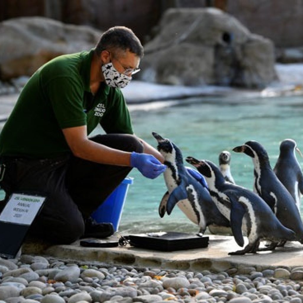 حديقة حيوان لندن3